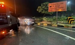 Alaplı Akçakoca Yolunda Trafik Kazası: 5 Yaralı