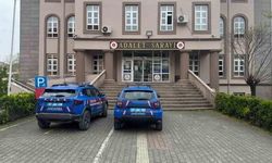 Alaplı'da Bahçeye Ekilen 32 Kök Kenevir Jandarma Operasyonuyla Ele Geçirildi