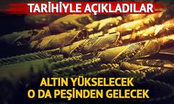 Altın ve Gümüşte Yükseliş Potansiyeli: Tarih Verildi, Teknik Analizler Güçlü