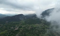 Amasya'da Ormanlık Alanlara Girişler 31 Ekim'e Kadar Yasaklandı