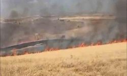Ankara Altındağ'daki ot yangını itfaiyenin müdahalesiyle kontrol altına alındı