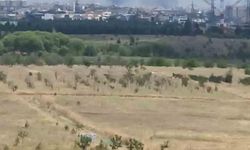 Ankara Yenimahalle'deki Ot Yangını Kontrol Altına Alındı