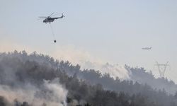 Balıkesir Altıeylül'de Orman Yangınına Çok Yönlü Müdahale