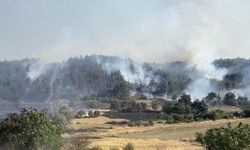 Balıkesir Altıeylül'de Orman Yangınına Müdahale Devam Ediyor