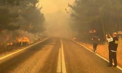 Balıkesir Gömeç Orman Yangınının Kaynak Kıvılcımı Nedeniyle Başladığı Belirlendi