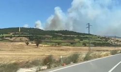 Balıkesir Susurluk'ta Orman Yangını: Karadan ve Havadan Müdahale Sürüyor