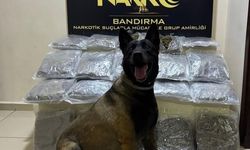 Bandırma'da Gübre Torbalarının Altında 11,2 Kilo Skunk Ele Geçirildi