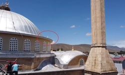 Bayburt'ta Yavru Leylek İçin Belediye Ekipleri Müdahale Etti