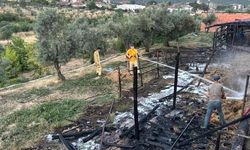 Bilecik'te Boş Ahırda Çıkan Yangın Korkuttu