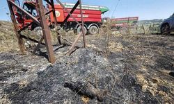 Bilecik'te Elektrik Tellerine Çarpan Kuşun Neden Olduğu Orman Yangını Kontrol Altına Alındı