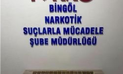 Bingöl'de 600 Fişek Ele Geçirildi, 1 Şüpheli Tutuklandı