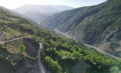 Bitlis'in Hizan İlçesi, Doğal Yaşamıyla Doğa Tutkunlarını Çekiyor