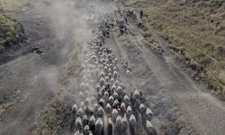 Bitlis'te Besicilerin Günlük Yayla Yolculuğu
