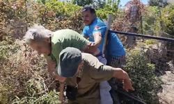Bodrum'da Kendini Yakmak İsteyen Kadının Çıkardığı Yangın 10 Hektarı Küle Çevirdi