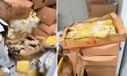 Bodrum'da Tarihi Geçmiş 1,2 Ton Gıda Ürünü İmha Edildi