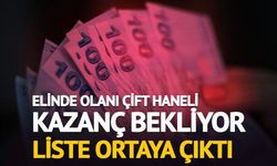 Borsa İstanbul'da Temettü Verimi Yüksek 10 Hisse ile Çift Haneli Getiri Fırsatı