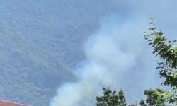 Bursa Kestel'de Orman Yangını Kontrol Altına Alınıyor