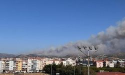 Çanakkale Saraycık Köyü'nde Orman Yangınına Yoğun Müdahale