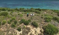 Çanakkale'de Orman Yangınlarına Karşı Önleyici Denetimler Sürüyor