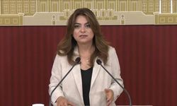 DEM Parti'den çerçeve yasa açıklaması: Meclis kapanmadan yasalaşabilir