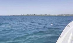 Didim Açıklarında Deniz Yatağıyla Açığa Sürülen Çocuk Kurtarıldı