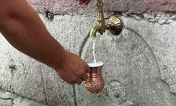 Düzce Selamlar Köyünde Atatürk'ün Ayran İçişi 92. Yılında Anıldı