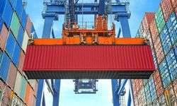 Düzce'den İlk Yarıda 4 Bin Tonun Üzerinde Orman Ürünü İhracatı