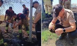 Edirne'de Çıkan Ot Yangınında Kaplumbağa İtfaiye Ekiplerince Kurtarıldı
