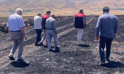 Elazığ Karakoçan'da 70 Dönümlük Tarım Arazisi Yangında Zarar Gördü