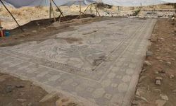 Elazığ'da Fidan Dikerken Ortaya Çıkan 1700 Yıllık Roma Mozaiği