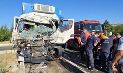 Elazığ'da İki Tırın Çarpıştığı Kazada 1 Kişi Yaralandı