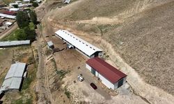 Erzincan'da Modern Küçükbaş Hayvancılık Tesisiyle Üretim Artıyor