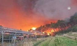 Fransa ve İspanya'da Orman Yangınları Nedeniyle 130 Bin Kişi Tahliye Ediliyor