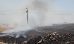 Gaziantep İslahiye'de Anız Yangınıyla İlgili 3 Kişi Gözaltında