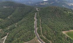 Geyve Alıplar Mahallesi'nin Ulaşım Süresi Yeni Yol ile Kısaldı