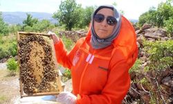 Göğüs Kanseriyle Mücadelede Arıcılığı Seçti: Zehra Kocabaş'ın Umut Dolu Hikayesi