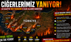 Ciğerlerimiz Yanıyor: Türkiye 24 Saatte 169 Yangınla Mücadele Etti! 5 İlde Alarm Sürüyor