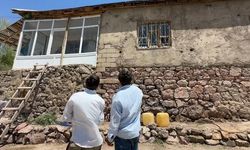 Hakkari'de Yılan İstilası Özmen Ailesinin Hayatını Kabusa Çevirdi