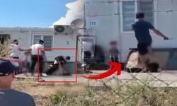 Hatay'da Eşine Şiddet Uygulayan Şüpheli Tutuklandı