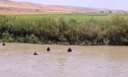 Hilvan Can için arama çalışmaları Muş Bulanık'ta devam ediyor