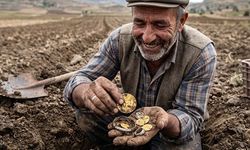 İngiltere'de Tarladan Çıkan 15 Bin Parça Roma Altını ve Gümüşü