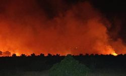 İslahiye'de Anız Yangını 400 Dönüm Tarım Arazisini Etkiledi