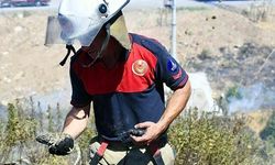 İzmir'de Orman Yangınına Müdahale: Bukalemun Kurtarıldı