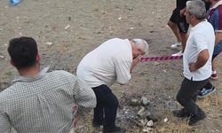 İznik Gölü'nde Serinlemek İsteyen İki Genç Hayatını Kaybetti