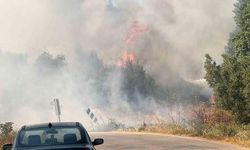 İznik'te Çöp Depolama Tesisinde Çıkan Yangın Ormana Sıçradı