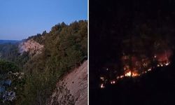 Kastamonu Cide'de Yabancı Cismin Patlaması Orman Yangınına Neden Oldu