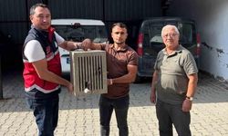 Kastamonu'da Yaralı Leylek Koruma Altına Alındı