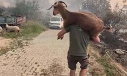 Keçisini Omzuna Alarak Alevlerden Kurtardı