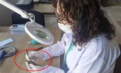 Malazgirt Savaş Alanında XI. Yüzyıl Bizans Balista Ok Uçları İlk Kez Bulundu