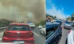 Manisa'daki Orman Yangını İzmir-İstanbul Otoyolu'na Ulaştı